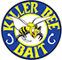 Killer Bee Bait